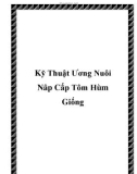 Kỹ Thuật Ương Nuôi Nâp Cấp Tôm Hùm Giống