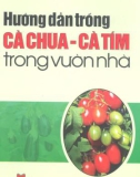 Kỹ thuật trồng cà chua - cà tím trong vườn nhà: Phần 1