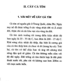 Kỹ thuật trồng cà chua - cà tím trong vườn nhà: Phần 2