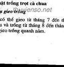 Hướng dẫn trồng cà và cà chua: Phần 2