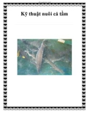 Kỹ thuật nuôi cá tầm