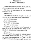 Kỹ thuật trồng cà chua quanh năm part 8