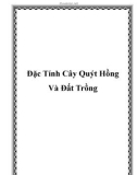 Đặc Tính Cây Quýt Hồng Và Đất Trồng