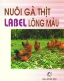 Kỹ thuật nuôi gà thịt Label lông màu: Phần 1