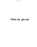 Thức ăn gia súc