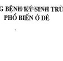 Những bệnh ký sinh trùng phổ biến ở dê