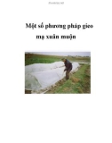 Một số phương pháp gieo mạ xuân muộn