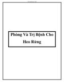 Phòng Và Trị Bệnh Cho Heo Rừng