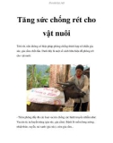 Tăng sức chống rét cho vật nuôi