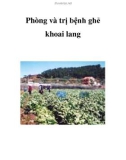 Phòng và trị bệnh ghẻ khoai lang