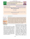 Effect of integrated nitrogen management on soil properties and yield of wheat in salt affected soil