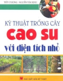 Hướng dẫn trồng cây cao su với diện tích nhỏ