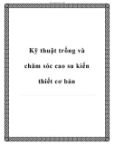 Kỹ thuật trồng và chăm sóc cao su kiến thiết cơ bản