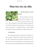 Phân bón cho cây điều