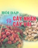 Cẩm nang hỏi đáp về cây nhãn, cây vải: Phần 1