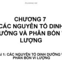 Bài giảng Chương 7: Các nguyên tố dinh dưỡng và phân bón vi lượng