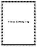 Nuôi cá mú trong lồng