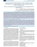 Khảo sát hoạt tính chống oxy hóa và định lượng polyphenol toàn phần trong lá trầu không (Piper betle, Piperaceae)