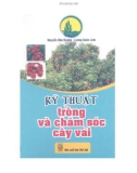 Kinh nghiệm trồng và chăm sóc cây vải: Phần 1