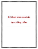 Các kỹ thuật sinh sản nhân tạo cá lăng chấm