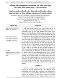Bổ sung dẫn liệu phân tử và khảo sát đặc điểm nuôi trồng của chủng nấm Hương Sapa Lentinula edodes
