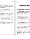 Nghiên cứu sử dụng kháng sinh trong thú y: Phần 2