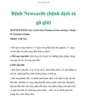 Bệnh Newcastle (bệnh dịch tả gà giả)