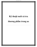 Kỹ thuật nuôi cá tra thương phẩm trong ao