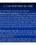 Bệnh học thủy sản : KHÁI NIỆM VỀ BỆNH KÝ SINH TRÙNG part 3