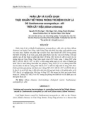 Phân lập và tuyển chọn thực khuẩn thể trong phòng trừ bệnh cháy lá do Xanthomonas axonopodis PV. allii trên cây kiệu (Allium chinense)