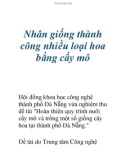 Nhân giống thành công nhiều loại hoa bằng cấy mô