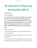 Các kỹ thuật nuôi Cá bống tượng thương phẩm