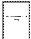 Đặc điểm sinh học của cá Măng