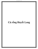 Cách nuôi cá rồng Huyết Long