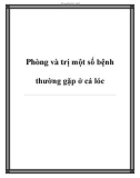 Phòng và trị một số bệnh thường gặp ở cá lóc