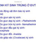 Bênh kí sinh trùng ở thủy sản