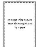 Kỹ Thuật Trồng Và Kích Thích Sầu Riêng Ra Hoa Vụ Nghịch