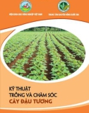 Kỹ thuật trồng và chăm sóc cây đậu tương - ThS. Phạm Thị Xuân