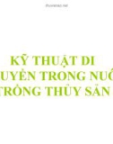 Bài giảng Kỹ thuật di truyền trong nuôi trồng thủy sản