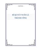 Bí quyết nuôi gà thành công