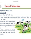 Một số vấn đề về quản lý sinh sản ở bò sữa part 3