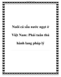 Nuôi cá sấu nước ngọt ở Việt Nam: Phải tuân thủ hành lang pháp lý