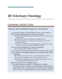 Ebook Clinical textbook for veterinary technicians and nurses (10/E): Part 2