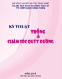 Kỹ thuật trồng và chăm sóc quýt đường