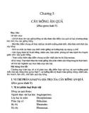 Giáo trình Kỹ thuật trồng cây ăn quả: Phần 2 - KS. Phạm Văn Duệ