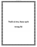 Nuôi cá tra, basa sạch trong bè