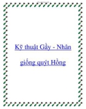 Kỹ thuật Gầy - Nhân giống quýt Hồng