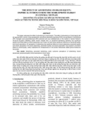 The effect of advertising on brand equity: Empirical evidence from the mobilephone market in central Vietnam