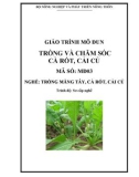 Giáo trình Trồng và chăm sóc cà rốt, cải củ - MĐ03: Trồng măng tây, cà rốt, cải củ