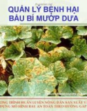 Chương trình huấn luyện nông dân sản xuất và xây dựng mô hình rau an toàn theo hướng GAP: Quản lý bệnh hại bầu bí mướp dưa